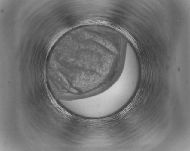 X0000071860896200607290154