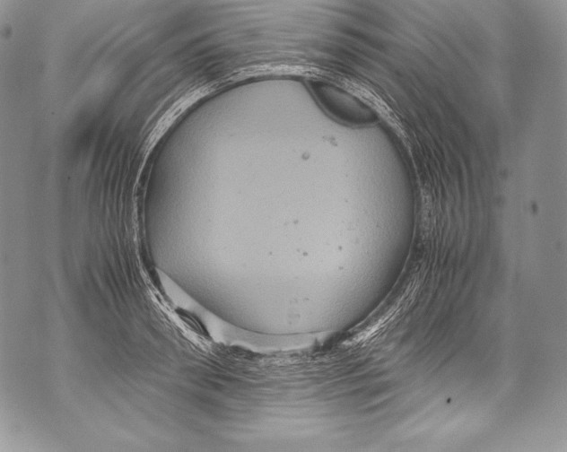 X0000071860898200607290154