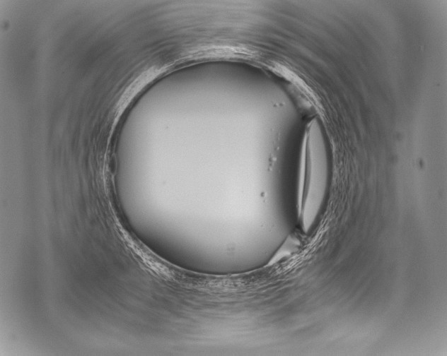 X0000071860901200607290154