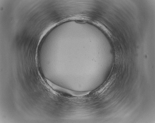 X0000071860902200607290154