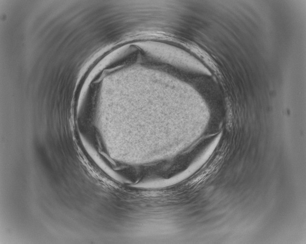 X0000071860904200607290154