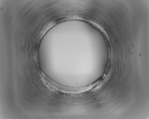 X0000071860905200607290154