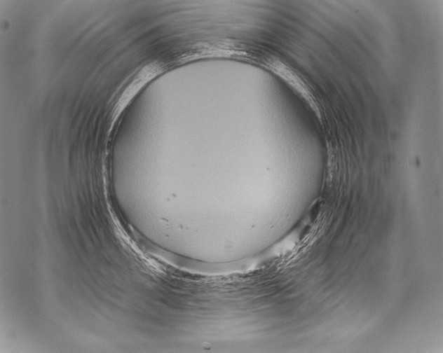 X0000071860906200607290154