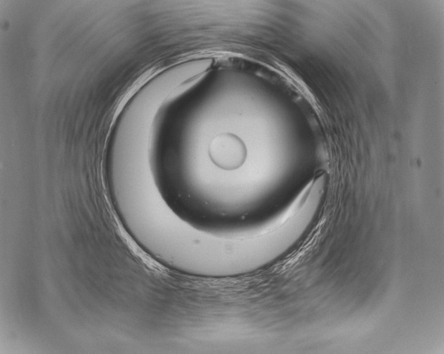 X0000071860909200607290154