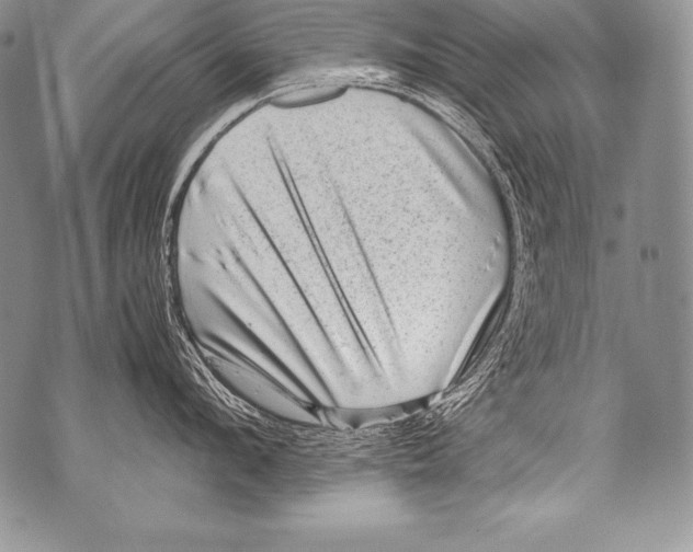 X0000071860912200607290154