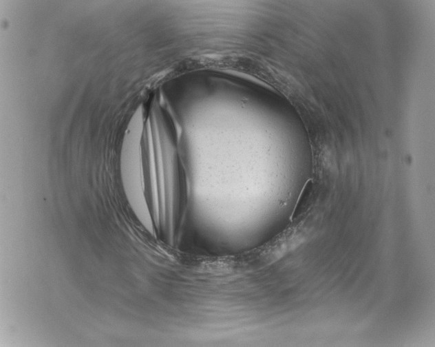 X0000071860914200607290153