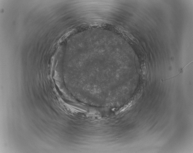 X0000071860916200607290153