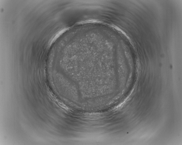 X0000071860921200607290153