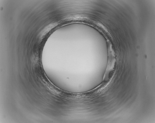 X0000071860922200607290153