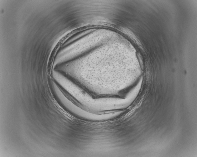 X0000071860924200607290153