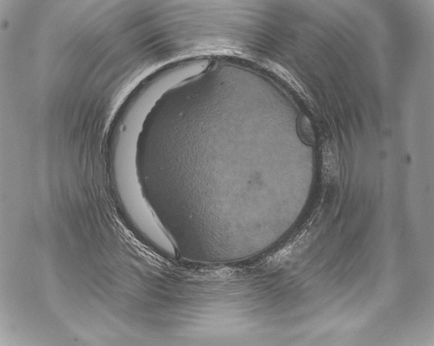 X0000071860926200607290153