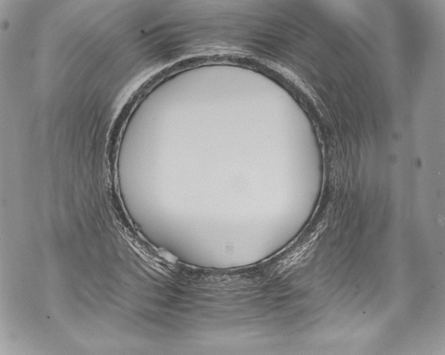 X0000071860927200607290153