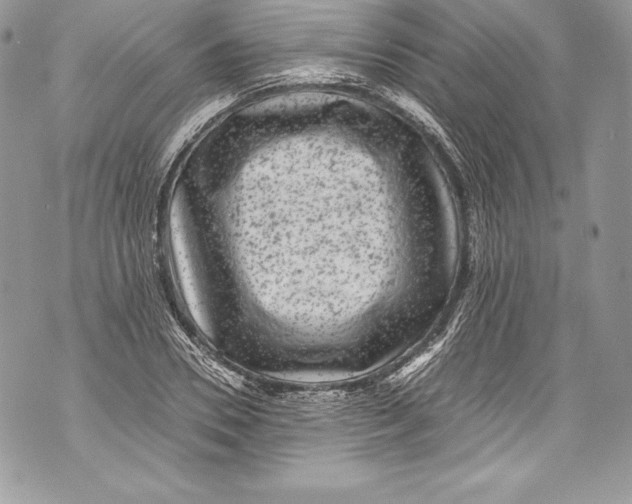 X0000071860930200607290153