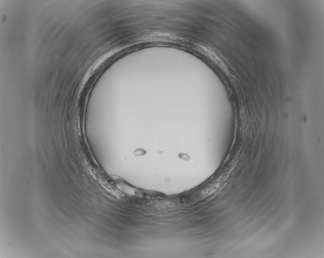 X0000071860931200607290153