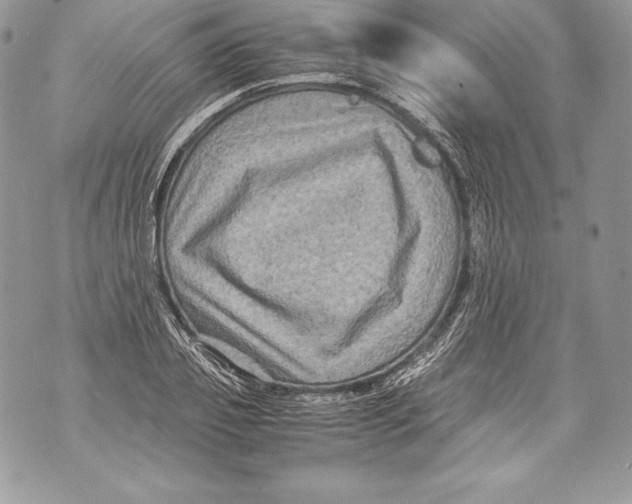 X0000071860933200607290154