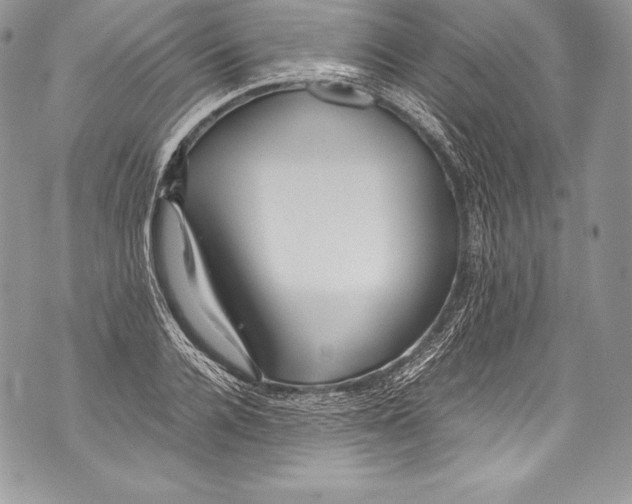 X0000071860936200607290154