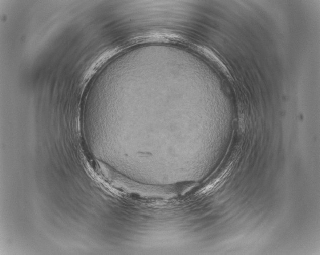 X0000071860938200607290154