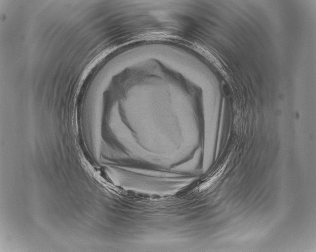 X0000071860939200607290154