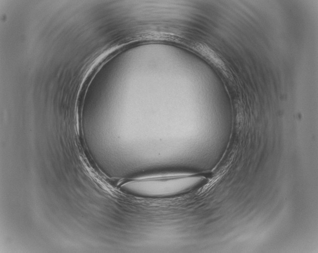 X0000071860940200607290154