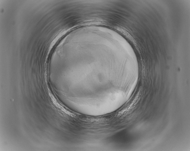 X0000071860941200607290154