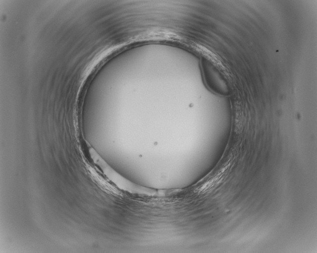 X0000071860942200607290154