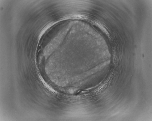 X0000071860944200607290154