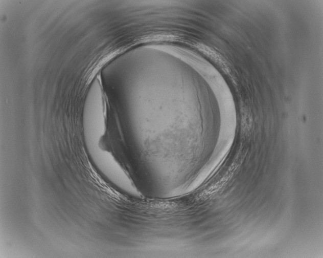 X0000071860945200607290154