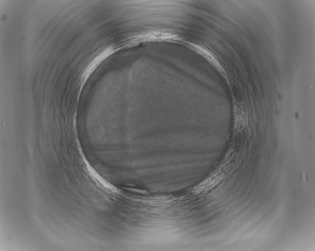 X0000071860946200607290154