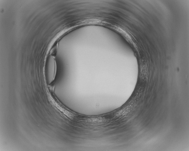 X0000071860947200607290154