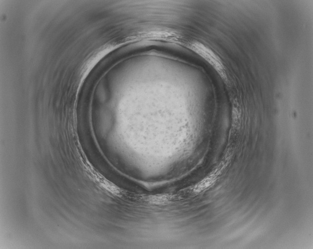 X0000071860948200607290154