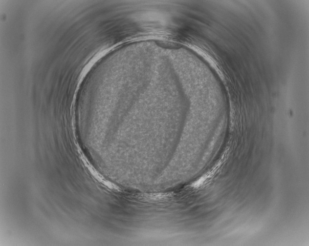 X0000071860949200607290154