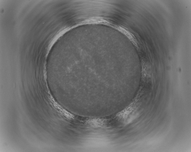 X0000071860950200607290154