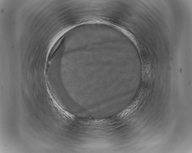 X0000071860951200607290154