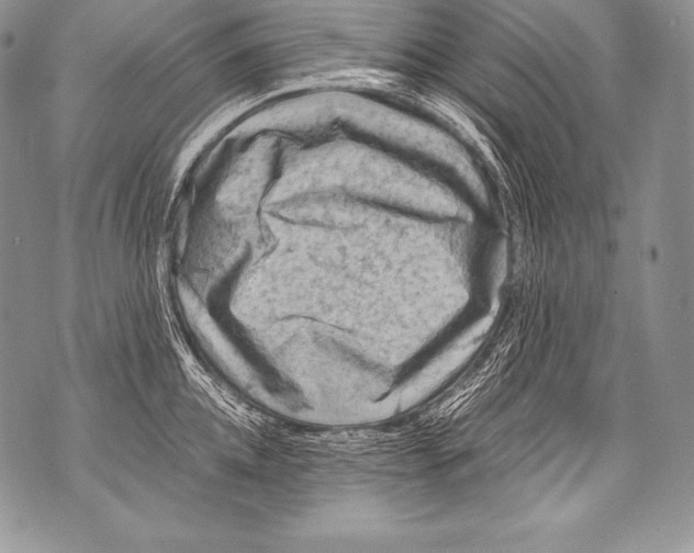 X0000071860952200607290154