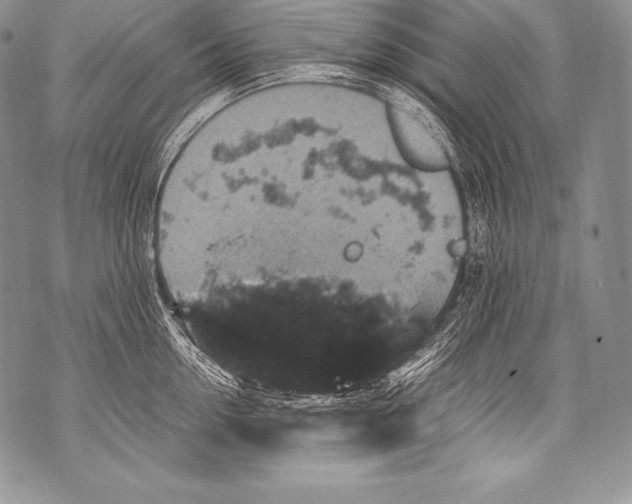 X0000071860954200607290154