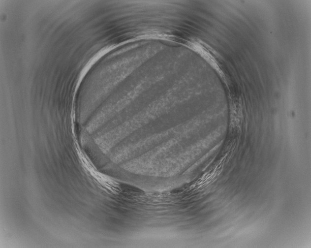 X0000071860955200607290154