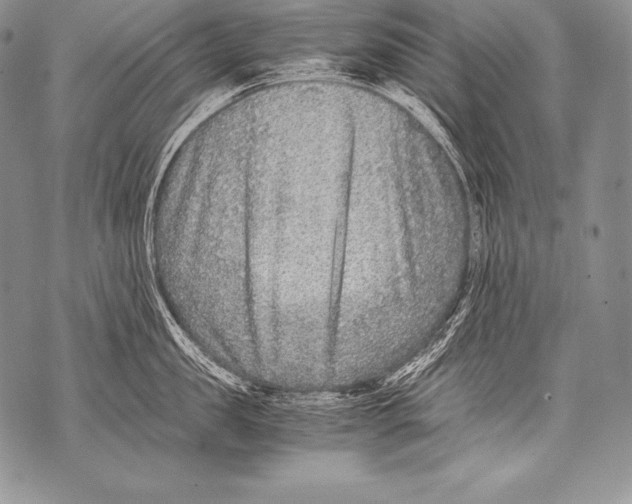 X0000071860957200607290154