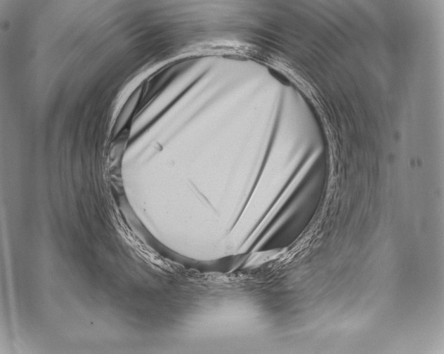 X0000071860960200607290154