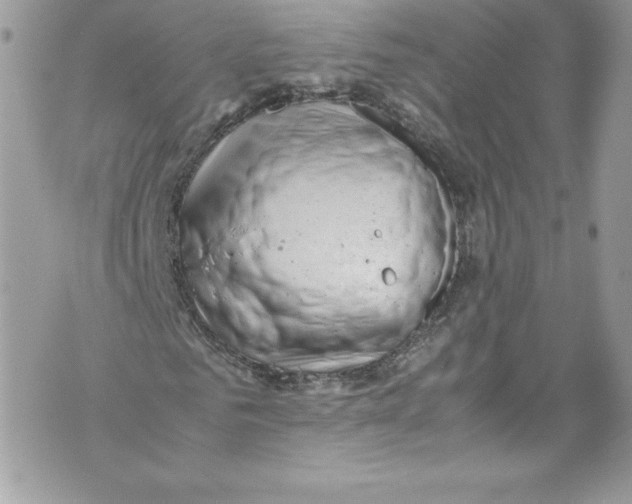 X0000071860961200607290153