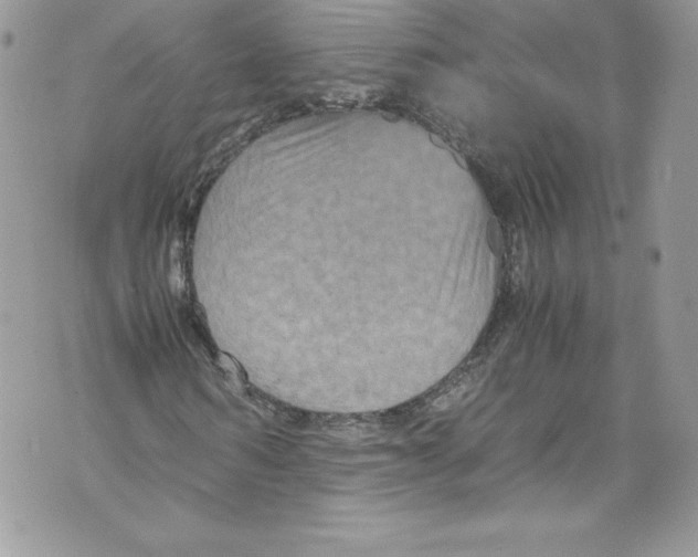 X0000071860962200607290153