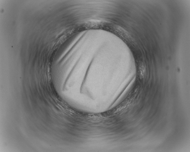 X0000071860964200607290153