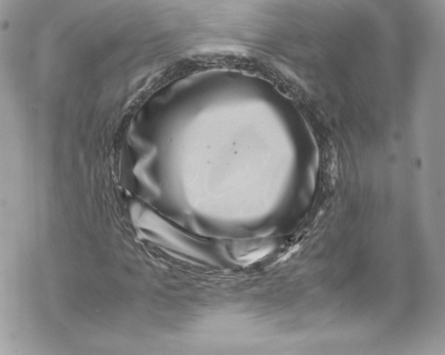 X0000071860965200607290153