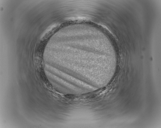 X0000071860967200607290153