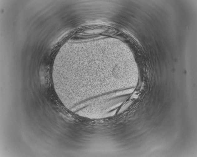 X0000071860968200607290153