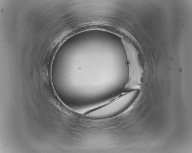 X0000071860969200607290153