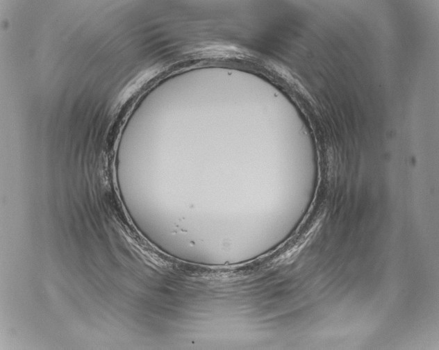 X0000071860970200607290153