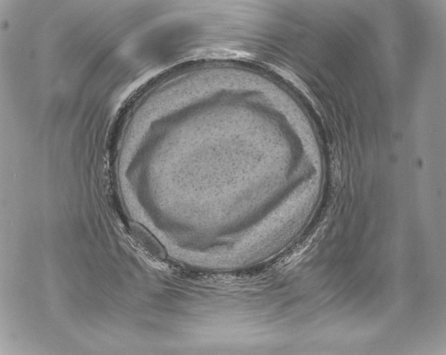 X0000071860971200607290153