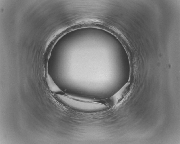 X0000071860973200607290153