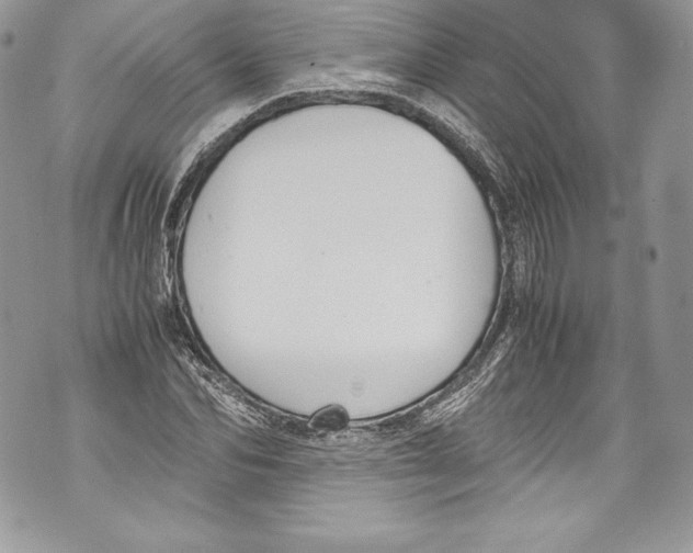 X0000071860974200607290153