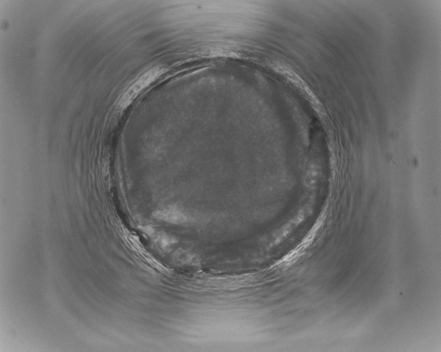 X0000071860977200607290153